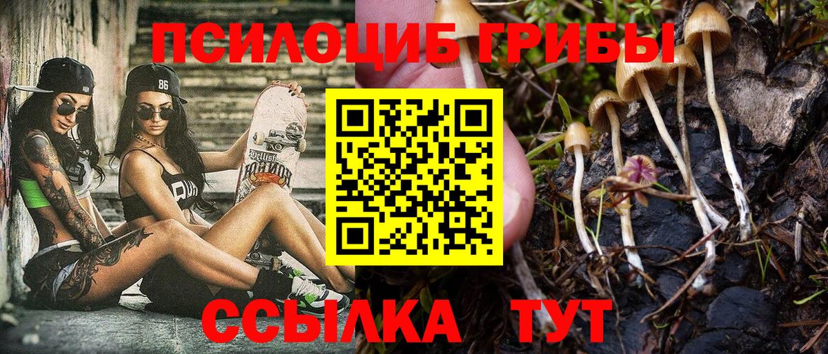 Бирск  Псилоцибиновые грибы мухоморы  Вход с VPN 
